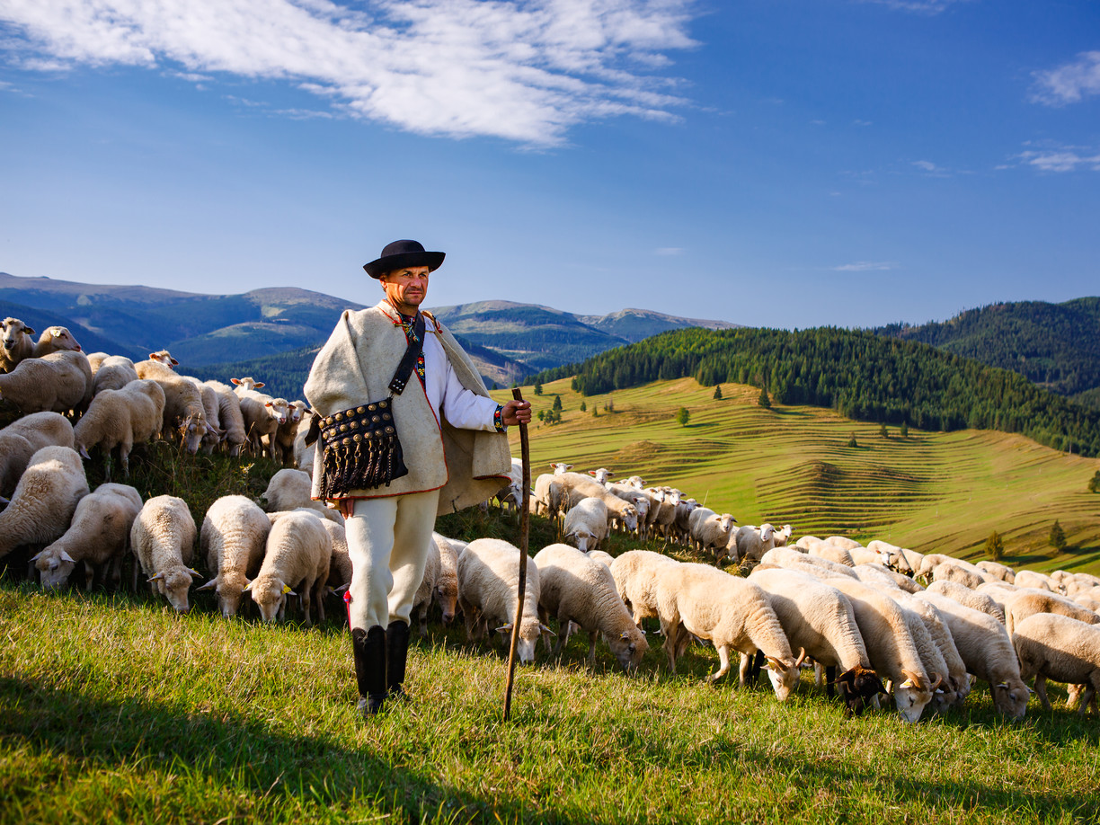  Pastier. Zdroj foto: Milouš Chab