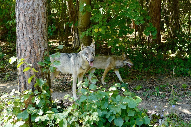 Zdroj: Jano Štovka, MQEP
