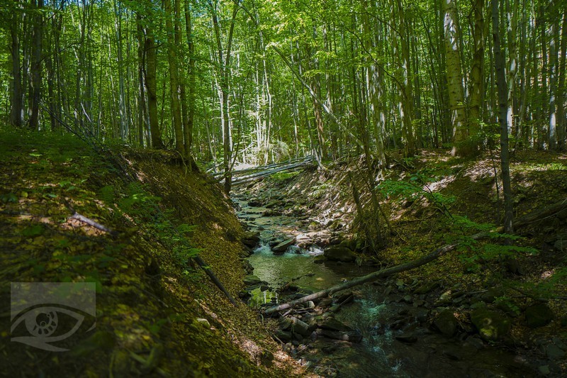 Zdroj: Jano Štovka, MQEP