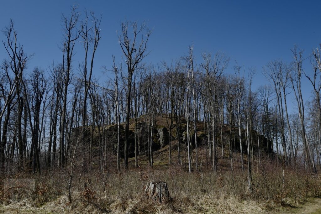Bodoň vár_Címkép - Ľudmila Milušová