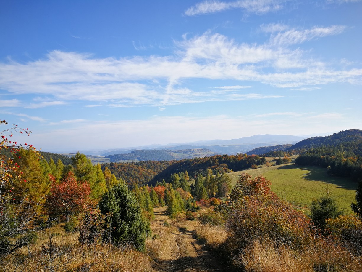 Kamenná baba_Lačnov. Foto-Lýdia Pribulová