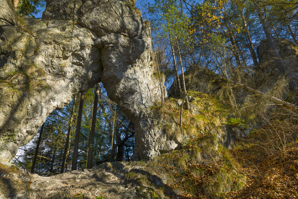Rajtopi