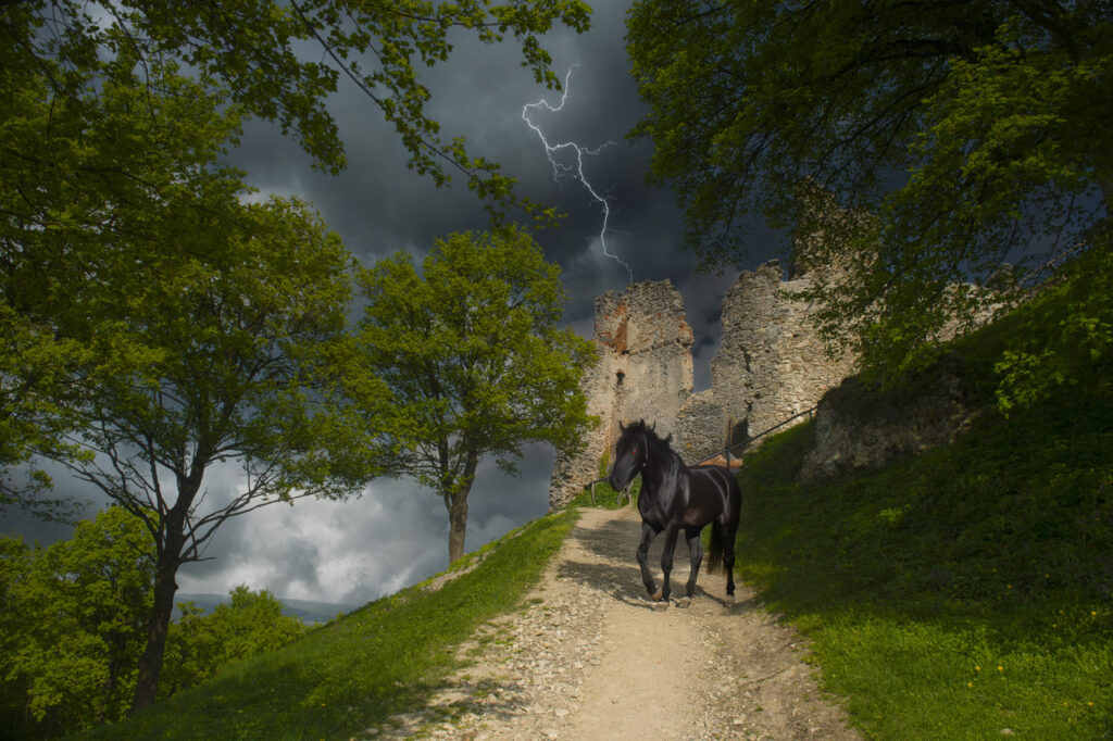 Hrad Brekov - fotofikcia