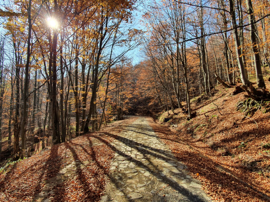 Zdroj: portarusica.sk