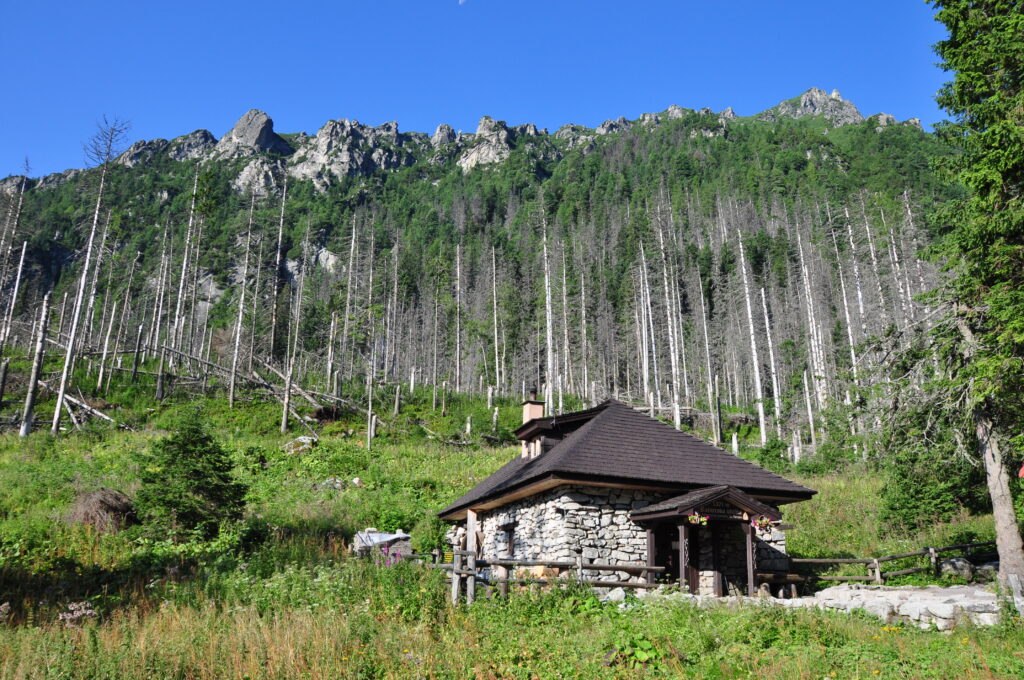Rainerova chata - I. Bohuš 