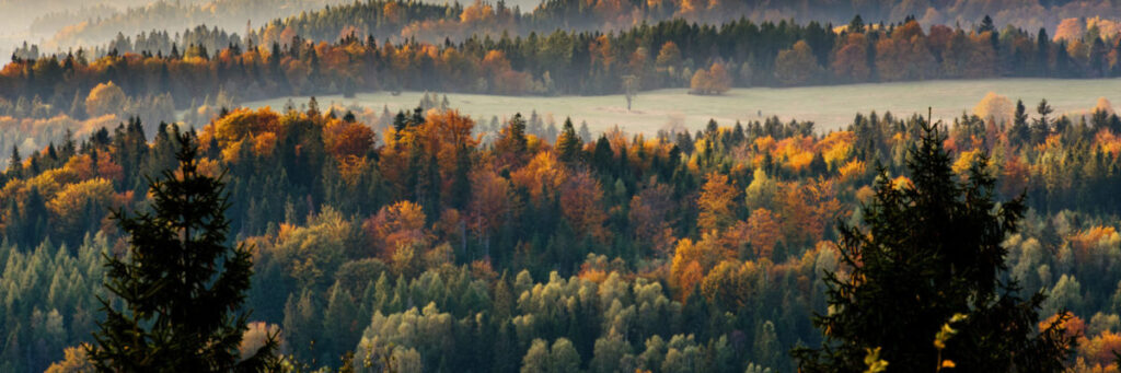 Poľsko-slovenské kuriérske chodníčky, OOCR SSP
