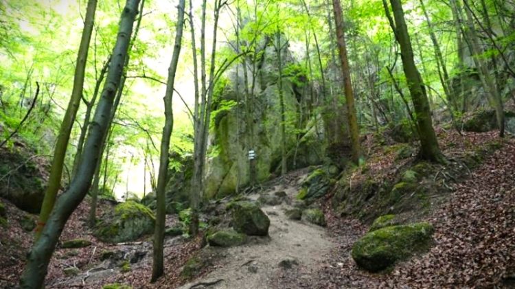 Kuriérske chodníčky, OOCR SSP