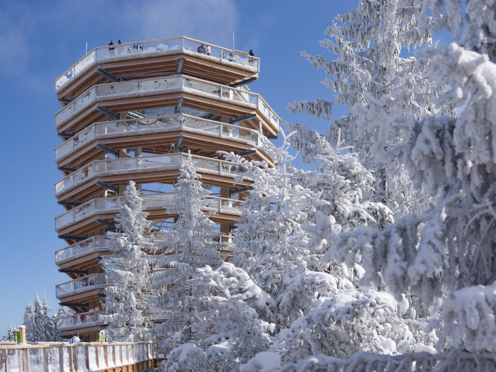 Bachledka-ski-sun-chodnik-v-korunach-stromov