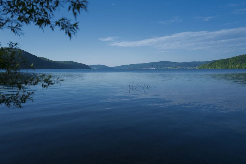 domasa-na-dobru-jan-stovka-2019