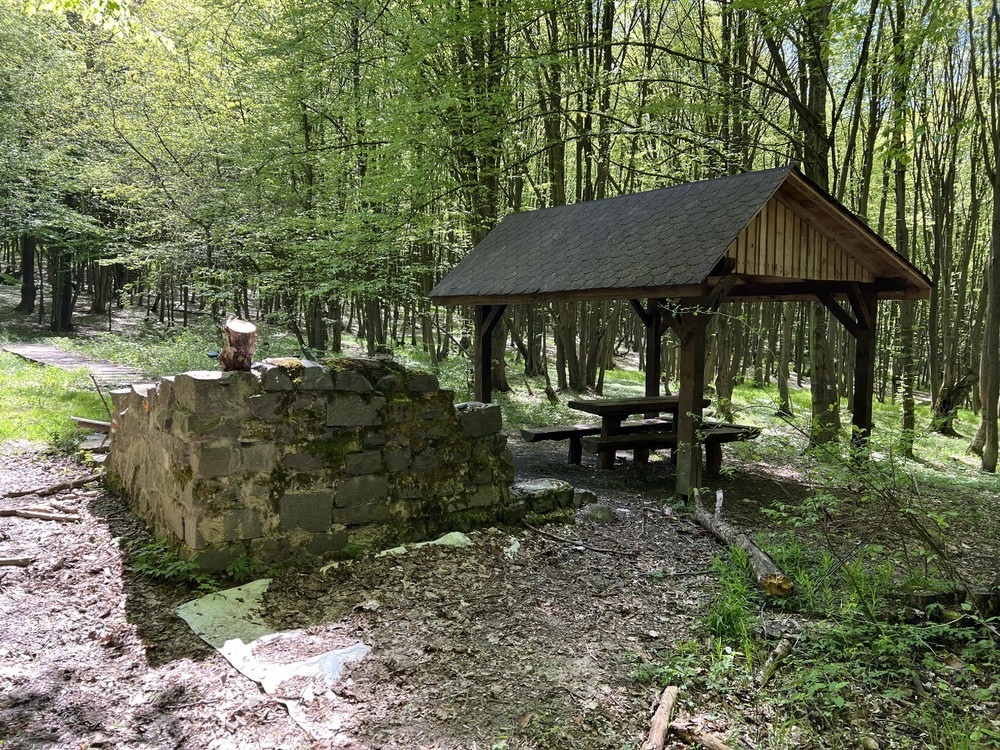 Lesopark Dukla pri Svidníku