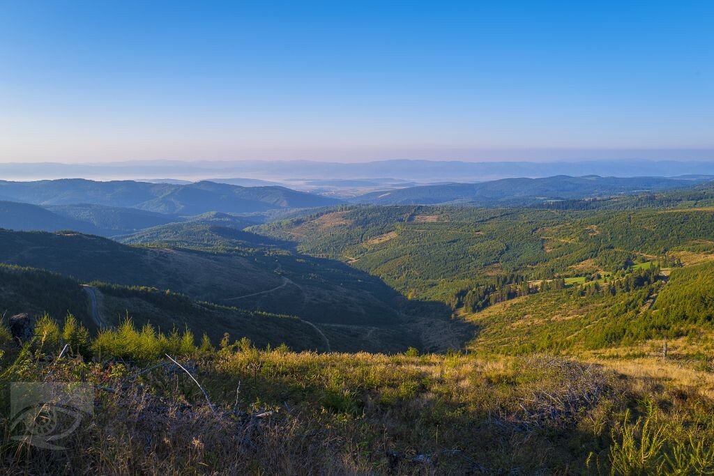 Levočské vrchy