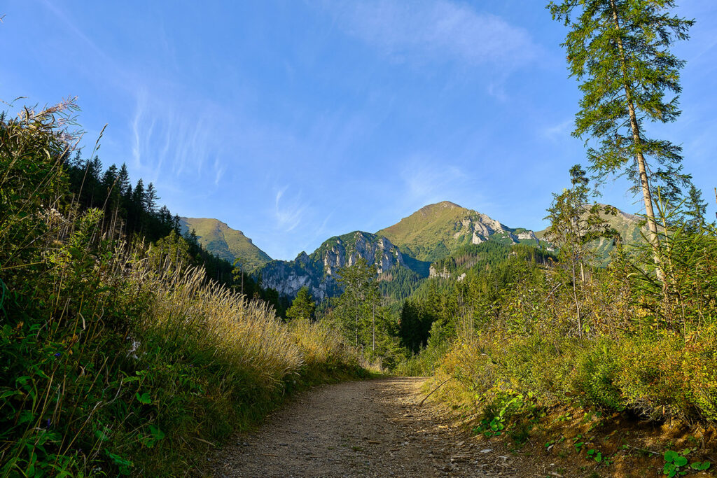 monkova-dolina-chodnik-zo-zdiaru2_full