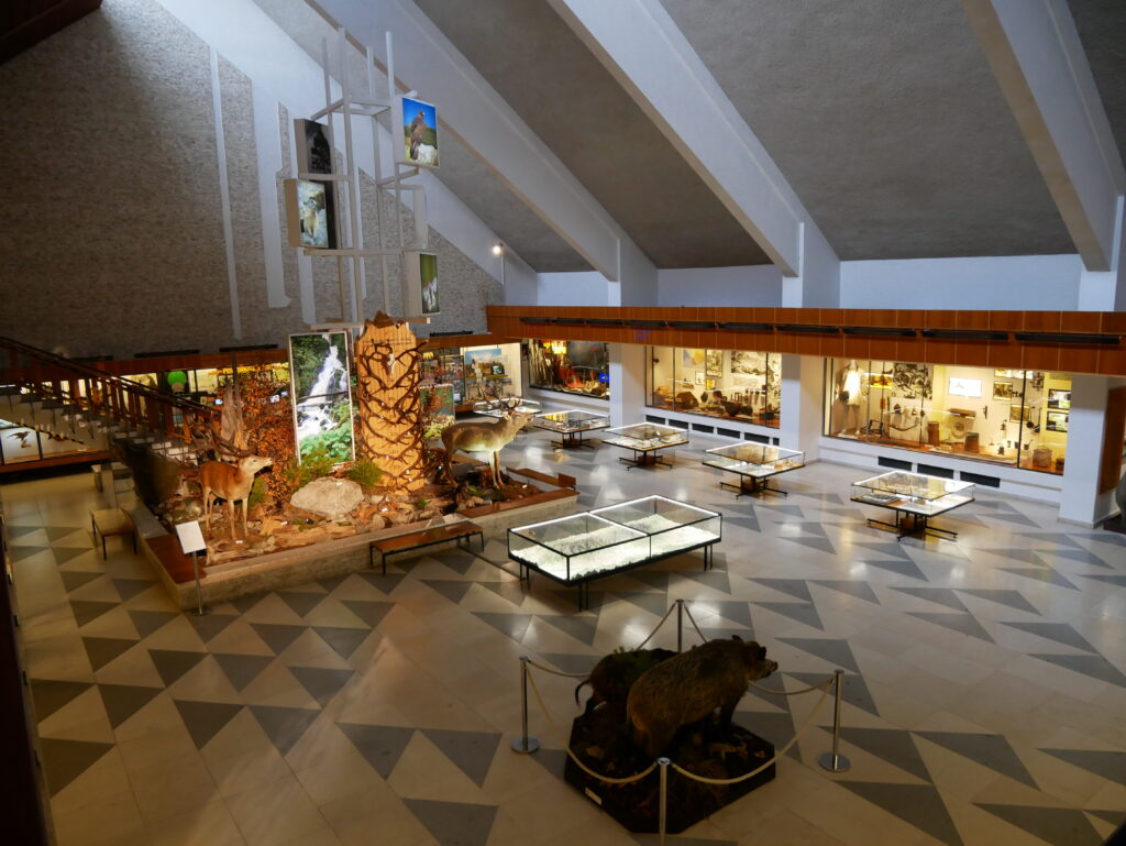 muzeum tanap_interier