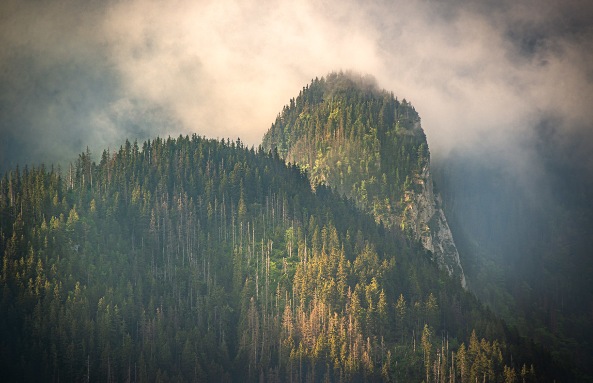 Zdroj: Viktor Belicak