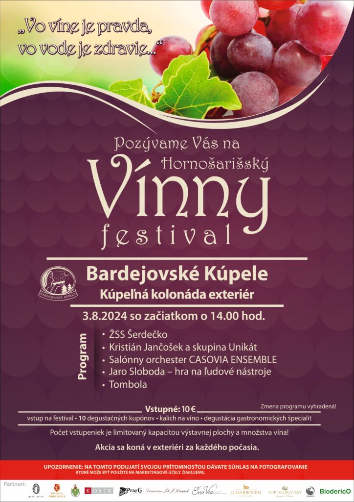 BK2024vinny festival plagat (3)