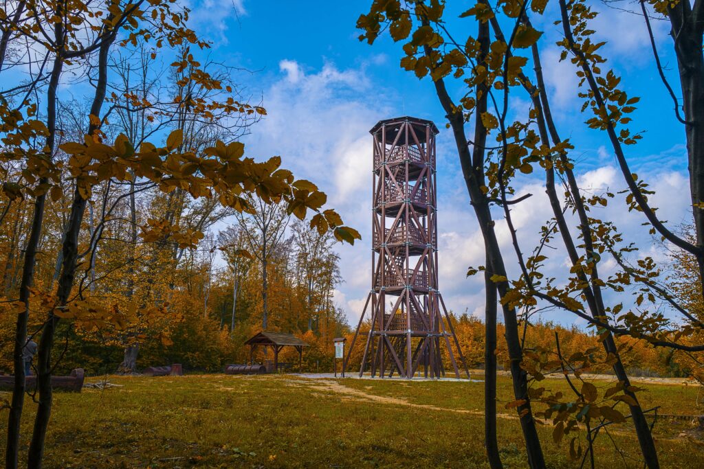 Malkovská hôrka_jeseň