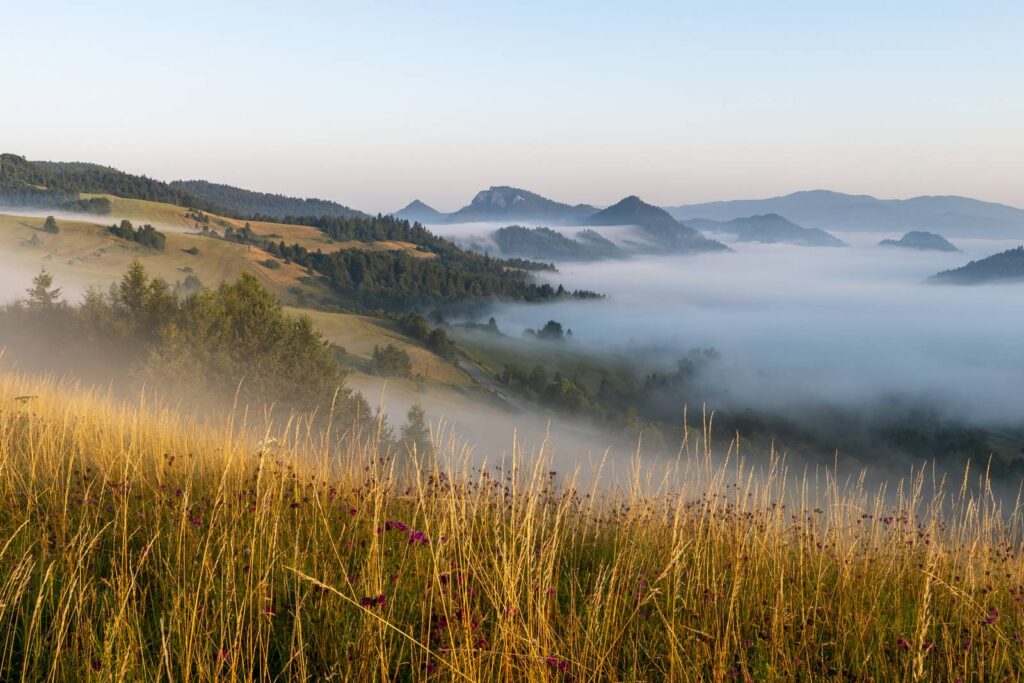 Tomáš Greňa - Úžasné rána v Pieninách, Turistika