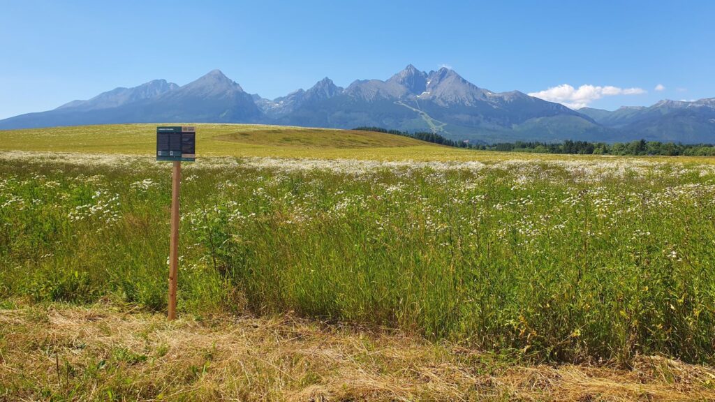 Lomnicka vyhliadka_Velka Lomnica