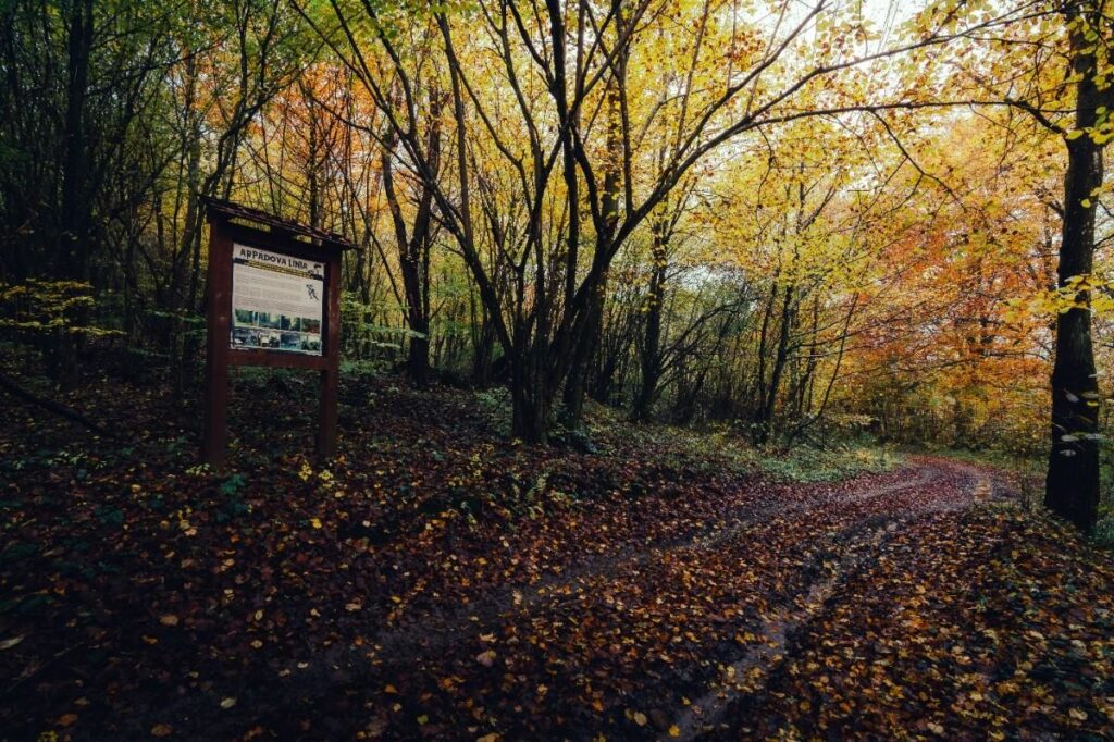 Zdroj: legendarium.info