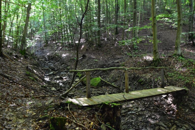 Zdroj: naucnechodniky.eu