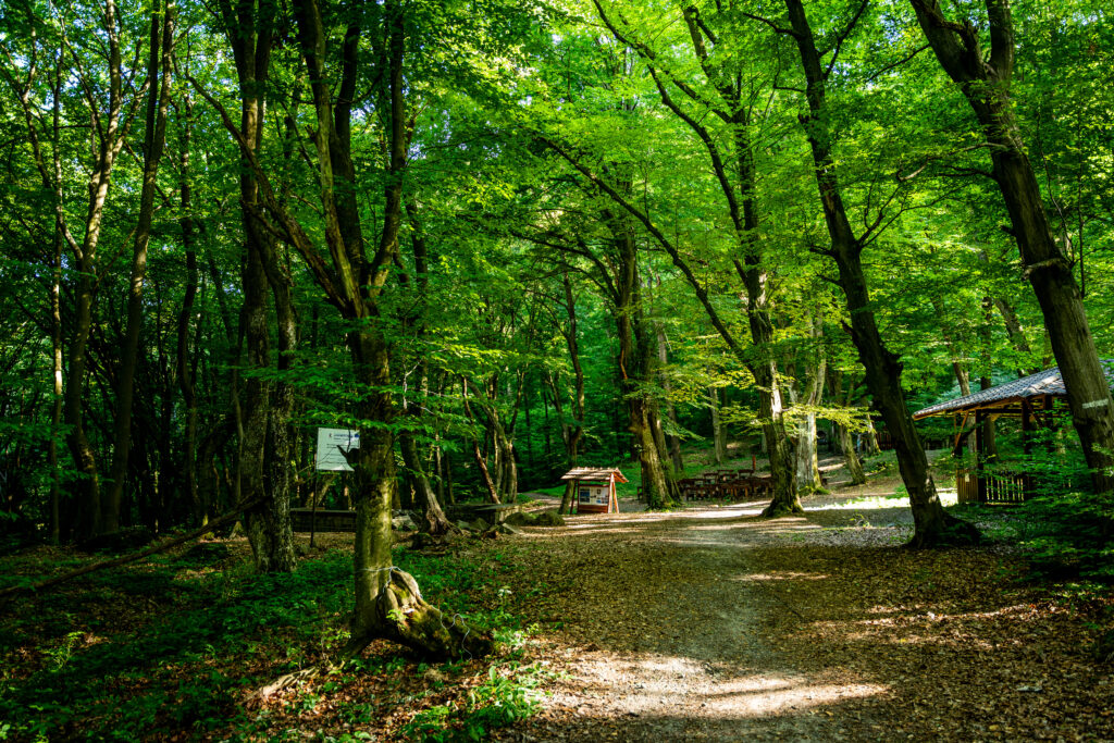 Oddychová zóna Fulianka